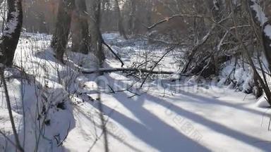 <strong>冰雪</strong>覆盖的<strong>森林</strong>溪流自然在白雪覆盖的树梢上